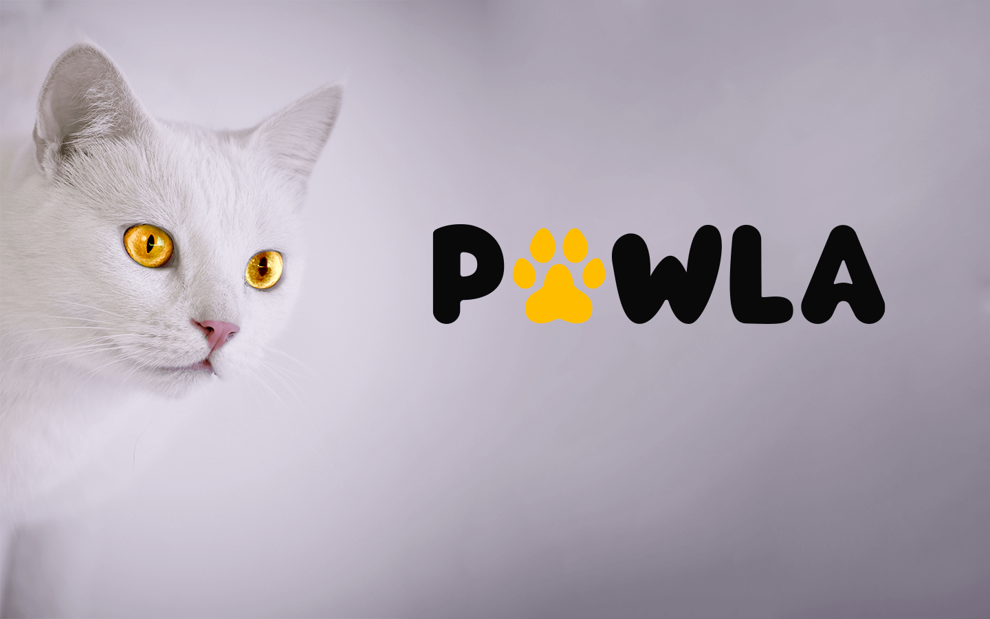 pawla-cat-pic