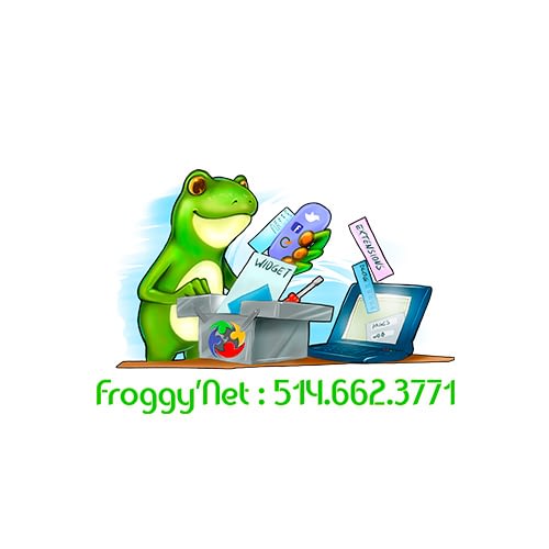 logo froggy net